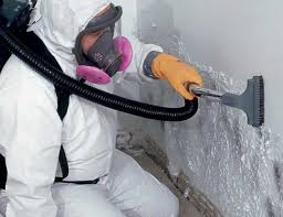 Asbestos and Lead Testing During Mold Inspection in Fulshear, TX